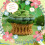 Green Plant Coaster Crochet Kit for Beginners with Hooks, Yarn & Tutorials 4