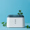 Highly Effective Odor Absorbing Fridge Deodorizer with Activated Carbon and Long Lasting Freshness 4