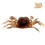 13 cm Bionic Shrimp Weichköder mit scharfem Haken (2er-Pack) 1