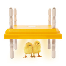 Brooder Heater for Chicks Adjustable Brooding Heating Plate