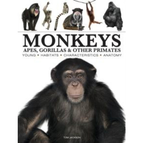 Monkeys by Tom Jackson Paperback Book