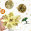 Kunstige glitter julestjerneblomster med klips (12 stk.) 3