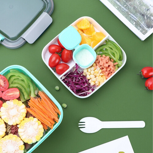 Boîte à bento double couche étanche - Plastique compatible micro-ondes, 2