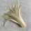 Rooster Tail Feathers Natural Beige Light Purple 50pcs 3