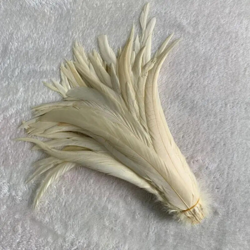Rooster Tail Feathers Natural Beige Light Purple 50pcs 2