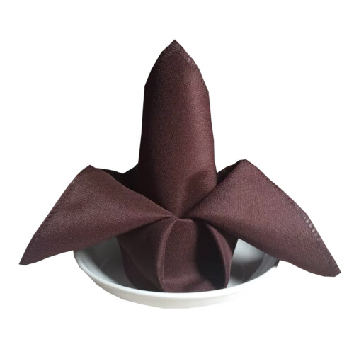 Guardanapos de Jantar Quadrados Reutilizáveis e Macios, 6 Unidades de 48 cm (18,9 polegadas)