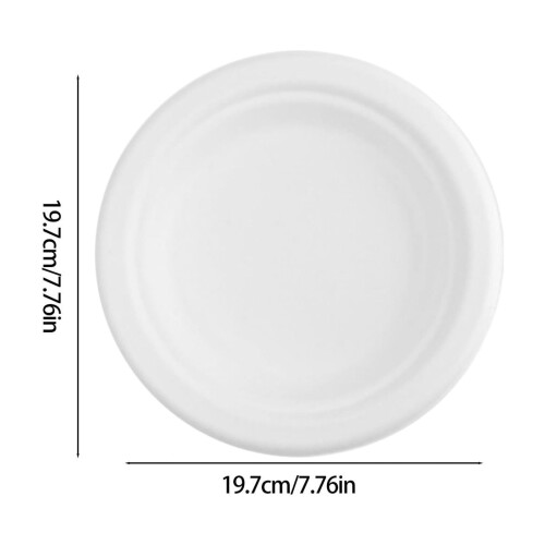 Round Disposable Paper Plates Pulp Molded 10 pcs 2