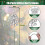 Artificial Holly Berries Stems Silver 9 inch 20 pcs 5