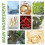 Natural Knee Pain Relief Patch - Effective Joint 4