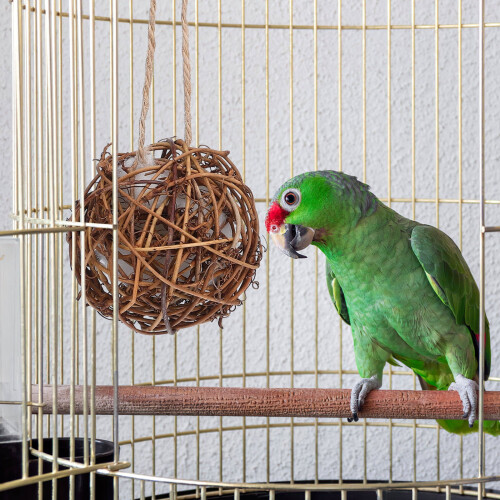 Boules de nidification sphériques en bois et coton, composées de 3 pièces 1