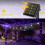Solar lichtslinger met koperdraad, 100 LED's, 10 meter, paars 3