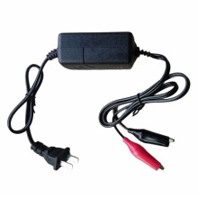 Chargeur de batterie 12 V pour voiture, SUV, moto tout-terrain