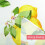 SOVCFOE polyesterdug 60x120 cm citronprint 2