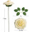 50 roses en mousse champagne avec tiges 2