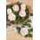 50 roses en mousse champagne avec tiges 5