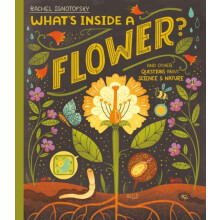 Whats Inside a Flower by Rachel Ignotofsky Paperback Book