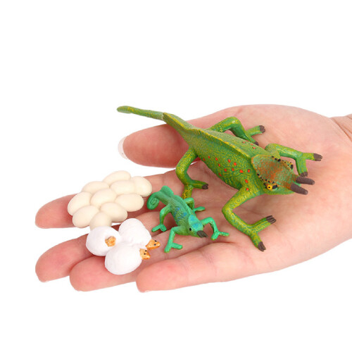 Children's Learning Animal Toy 4Pcs