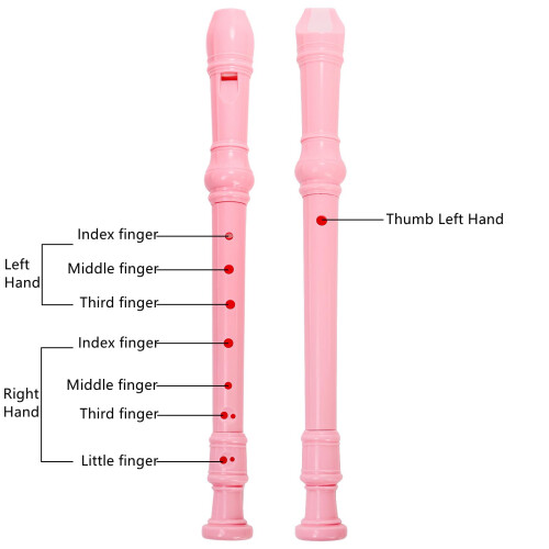 ZEAYEA 6 Pack Soprano Recorder Instrument 2