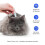 Flea & Tick Spot-On Repellent for Cats 2 Pack Solution Prevent Infection Repels 3