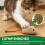 CrestHaven 6Pcs Interactive Catnip Plush Toys Indoor Kitten Molar Rod Mouse 4