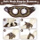 OFFCUP Dog Harness and Leash Set, Mesh Reflective Breathable Dog Harness 6