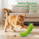 CrestHaven 6Pcs Interactive Catnip Plush Toys Indoor Kitten Molar Rod Mouse 6