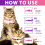 4-Pack Collar for Cats, Adjustable Waterproof Design for Cat 3