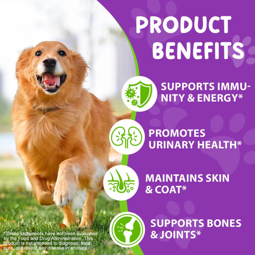 Dog Multivitamin - Strengthening Immune System & Supporting Bones and JointsSup 2