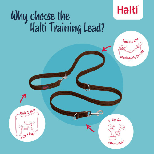 Halti Halti Training Lead for Dogs | Size Large, Deep Walnut, 2m | No-Pull Double-Ended Dog Lead | Light 2