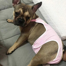 Girl Dog Suspender Physiological Pants Diaper Jumpsuit Pet Underwear Gift