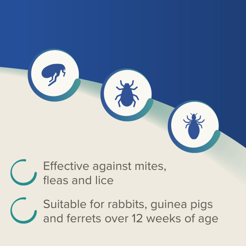 Beaphar Beaphar - Dimethicare Line-On - Mite, Flea and Lice Control for Rabbits, Guinea 2