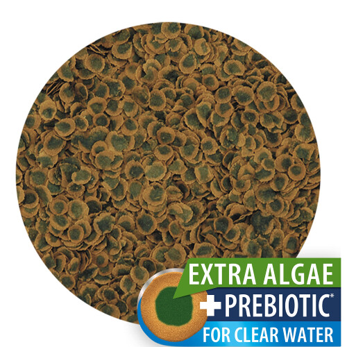 Tetra Tetra Pro Algae Multi-Crisps - Premium fish food with algae concentrate for increased strength, 500ml 1