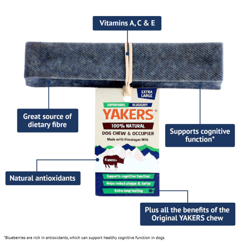 Yakers YAKERS Blueberry Dog Chew Medium 1