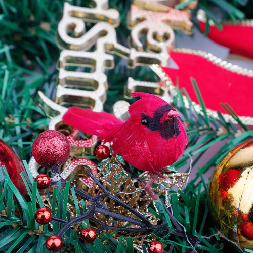 10 décorations réalistes d'oiseaux cardinaux rouges 1