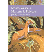Stoats Weasels Martens and Polecats by Jenny MacPherson Hardcover Book