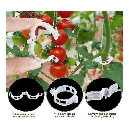 Ganci di supporto per pomodori e clip per piante con spago per orti e piante 1