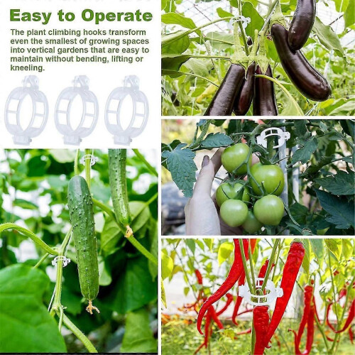 Ganci di supporto per pomodori e clip per piante con spago per orti e piante 2