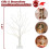 Birch Tree LED Decoration Warm White 2FT Battery Powered 5