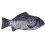 Fischförmiges Federmäppchen mit Reißverschluss (1 Stück) 1
