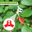 White 90 Degree Plant Training Clips for Tomatoes Cucumbers, 30 Pack Trellis Support 4