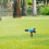Automatic Rotating Sprinkler, 2Pcs Blue ABS Lawn Watering Tool with Adjustable Head for Garden Irrigation 4