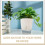 Set di 3 vasi autoirriganti in plastica trasparente per interni, ideali per orchidee e pothos. 2