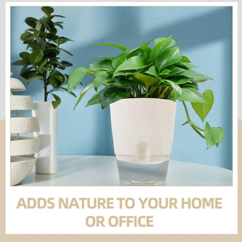 Set di 3 vasi autoirriganti in plastica trasparente per interni, ideali per orchidee e pothos. 1