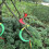 Rainbow Stripe Windsock Hot Air Balloon Outdoor Decor 2