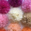 Paper Pompoms for Wedding Decor 10-25cm 4-Pack 6