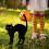 Halloween vaskerti macskaszobrok, 3 db-os csomag 5