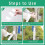 Spiral Plastic Tree Trunk Protector Guard Wrap for Bark Protection from Deer Rodents 2