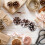 White Pine Cones for Christmas Decor DIY Craft Set (18 pcs) 2