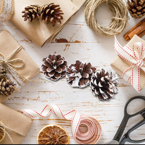 White Pine Cones for Christmas Decor DIY Craft Set (18 pcs) 1