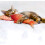 Interaktives Katzenspielzeug Splashing Fish Orange 6